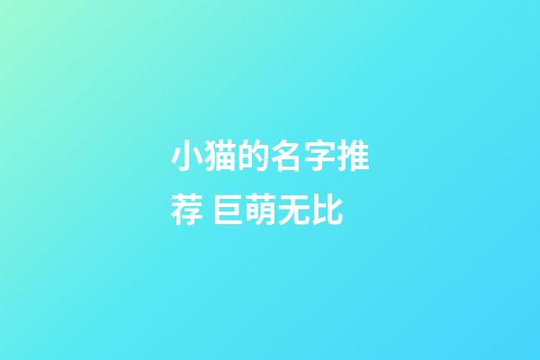 小猫的名字推荐 巨萌无比